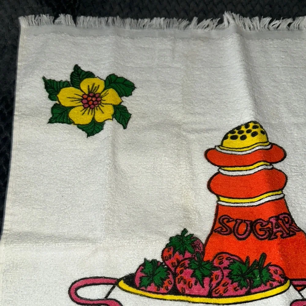Colorful Fruit Pattern Towels set of 2 retro vintage dish towels